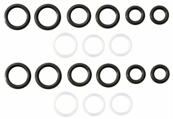 Stand Pipe Seal Kit